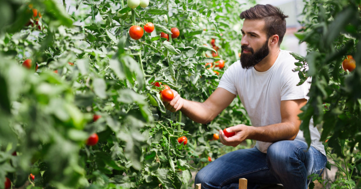 Eco-farmer. Eco-farmer.
