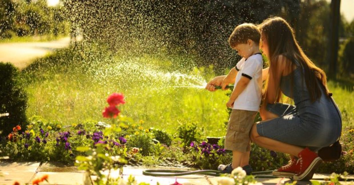 Water your lawn only when it needs it. Water your lawn only when it needs it.