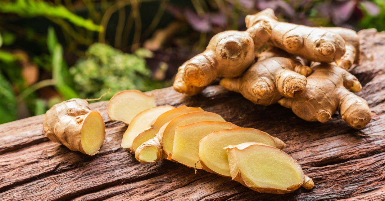 Ginger root has many medicinal uses. Ginger root has many medicinal uses.