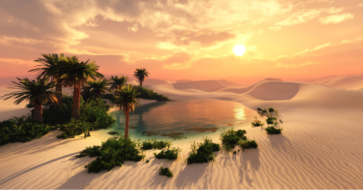 A lush oasis in a parched, sandy desert. A lush oasis in a parched, sandy desert.