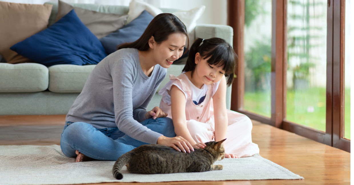 Petting a cat can help reduce anxiety and stress. Petting a cat can help reduce anxiety and stress.