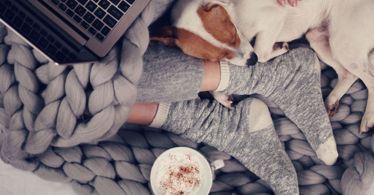 Elements of a snuggery: a warm blanket, a cuddly lap dog, and a steaming cafe au lait. Elements of a snuggery: a warm blanket, a cuddly lap dog, and a steaming cafe au lait.