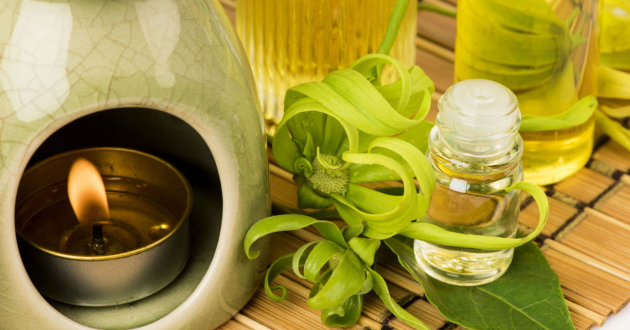 Diffuse ylang ylang oil to set the mood for love. Diffuse ylang ylang oil to set the mood for love.
