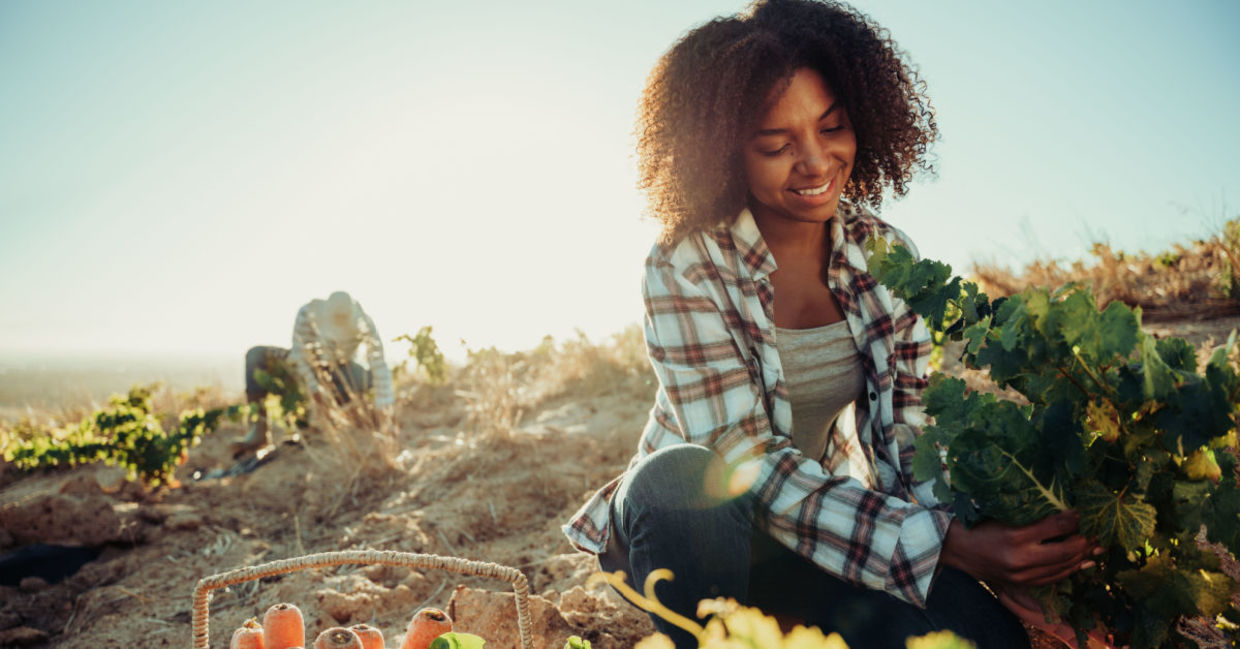 Donate your time to a community garden. Donate your time to a community garden.
