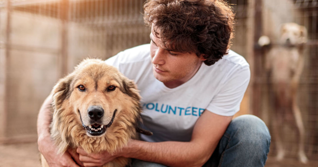 Animal shelter volunteer. Animal shelter volunteer.