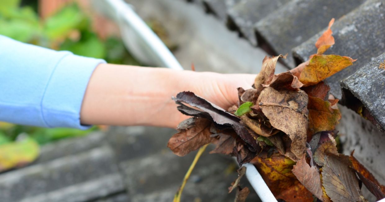 Clean out your gutters to keep moisture out. Clean out your gutters to keep moisture out.