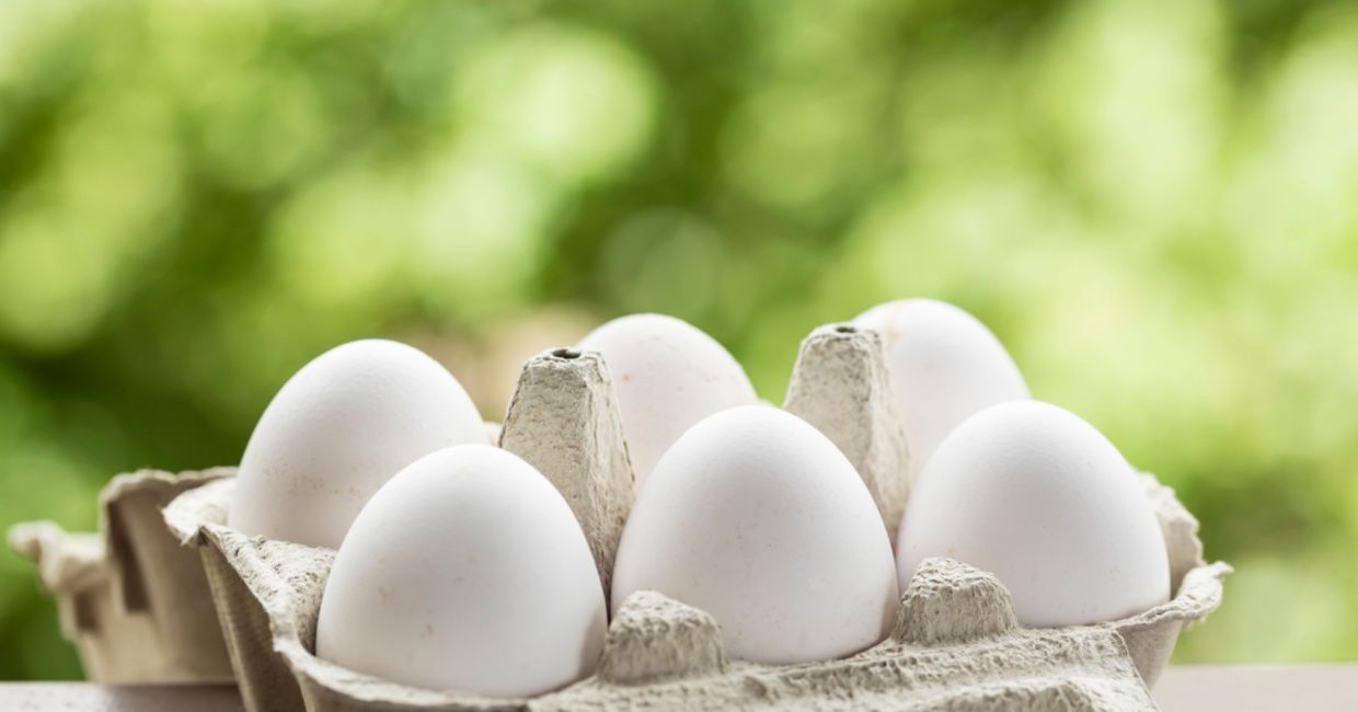 Egg substitutes are gaining in popularity. Egg substitutes are gaining in popularity.