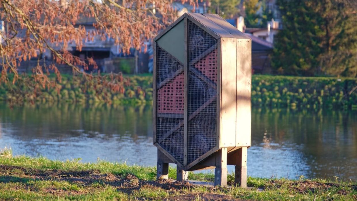 Wooden bee hotel. Wooden bee hotel.