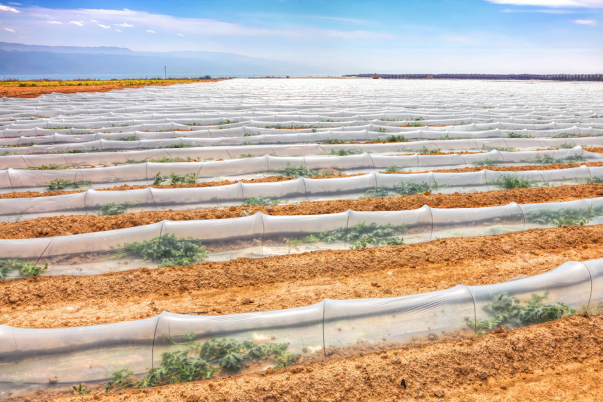 Israel has used a wide variety of innovative methods to conserve water. Israel has used a wide variety of innovative methods to conserve water.